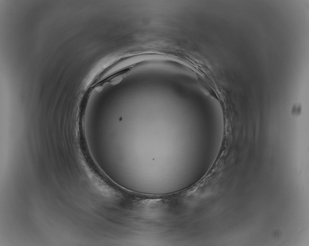 X0000093260054200709261740