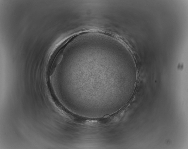 X0000093260055200709261740
