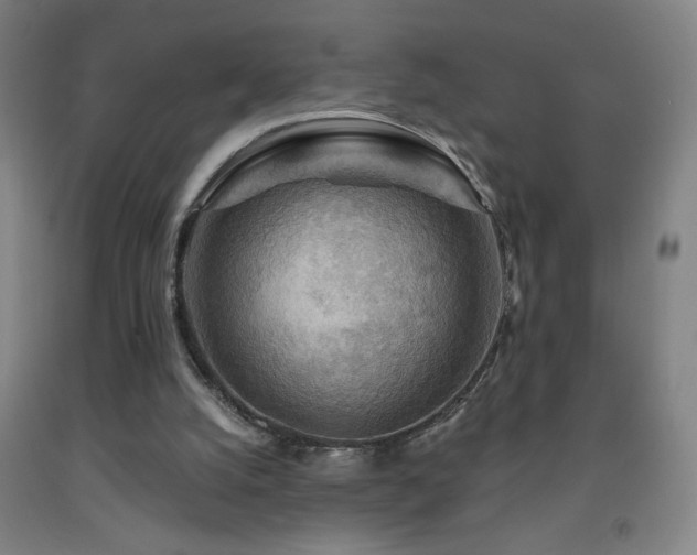 X0000093260056200709261740
