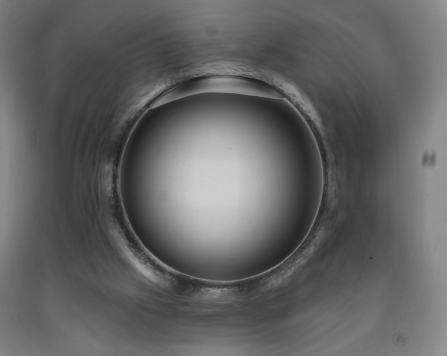 X0000093260057200709261740