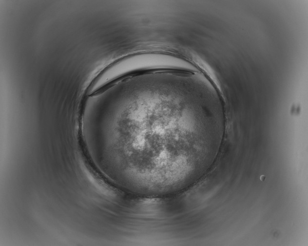 X0000093260059200709261740