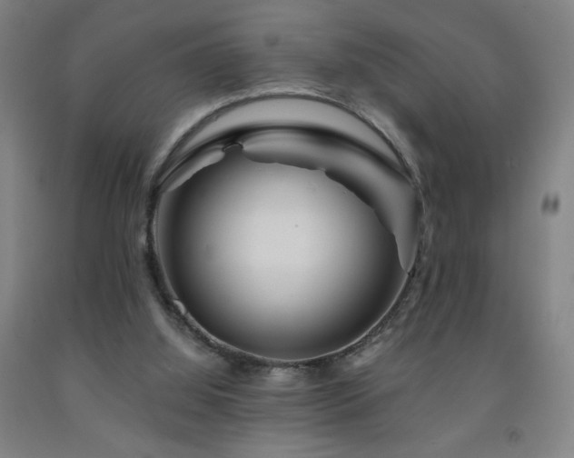 X0000093260060200709261740