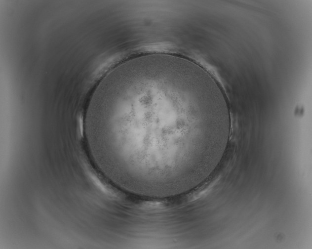 X0000093260061200709261740