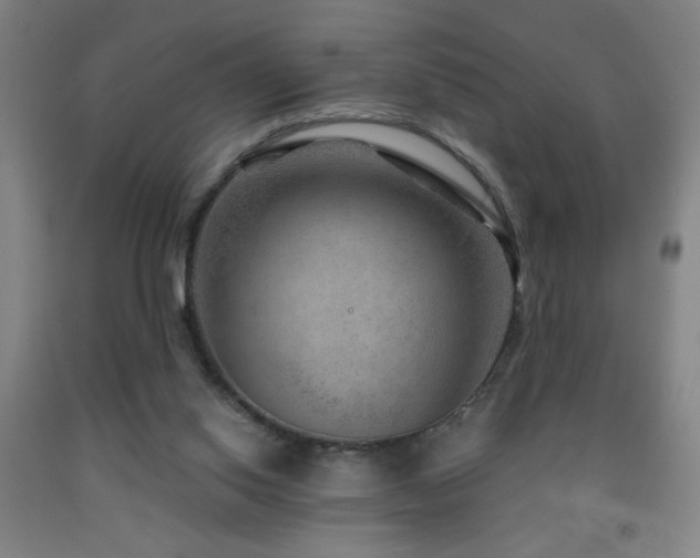 X0000093260062200709261740