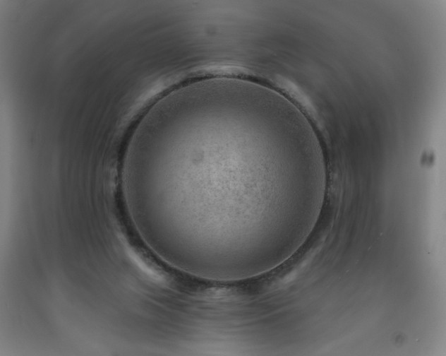 X0000093260063200709261740