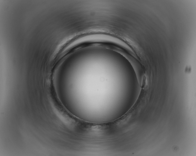 X0000093260064200709261740