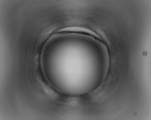 X0000093260066200709261740