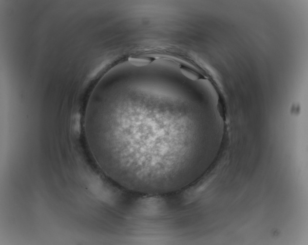 X0000093260067200709261740