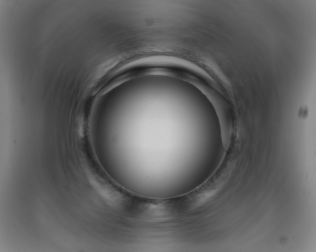 X0000093260068200709261740