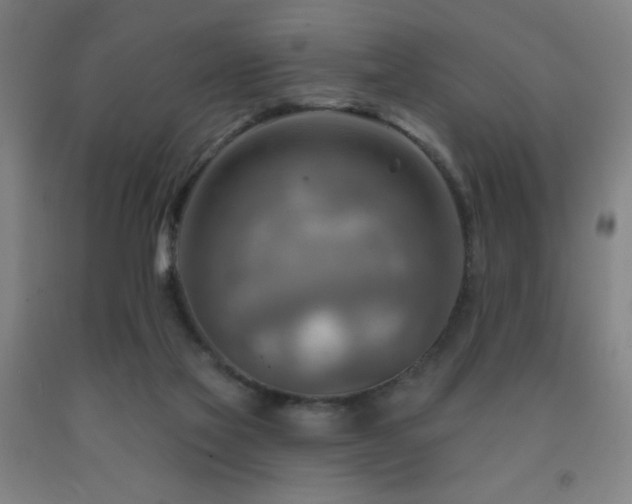 X0000093260069200709261740