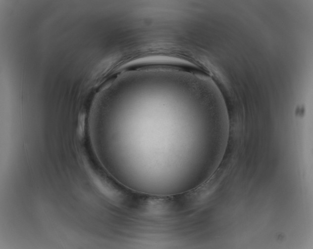 X0000093260070200709261740