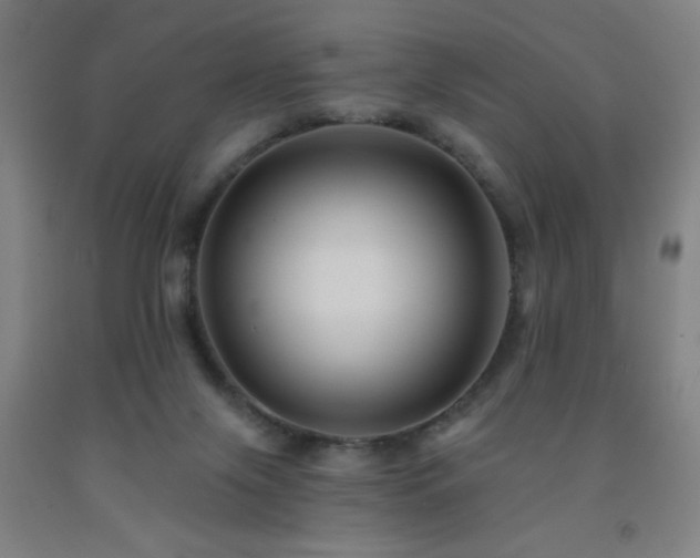 X0000093260071200709261740
