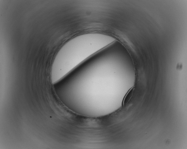 X0000093260073200709261740