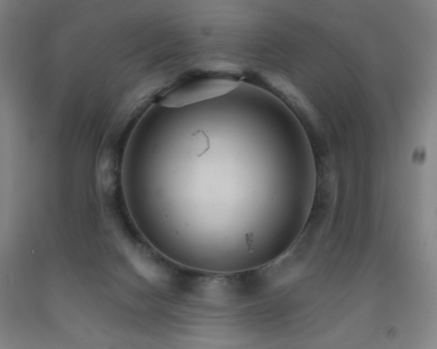 X0000093260074200709261740
