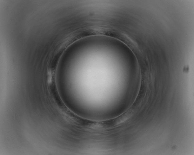 X0000093260075200709261740