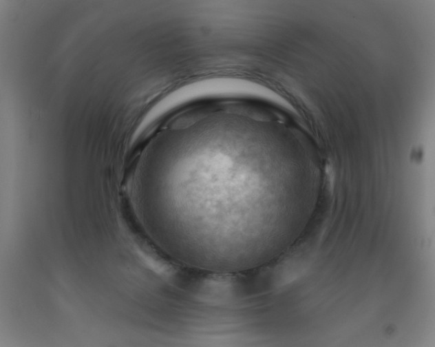 X0000093260076200709261740