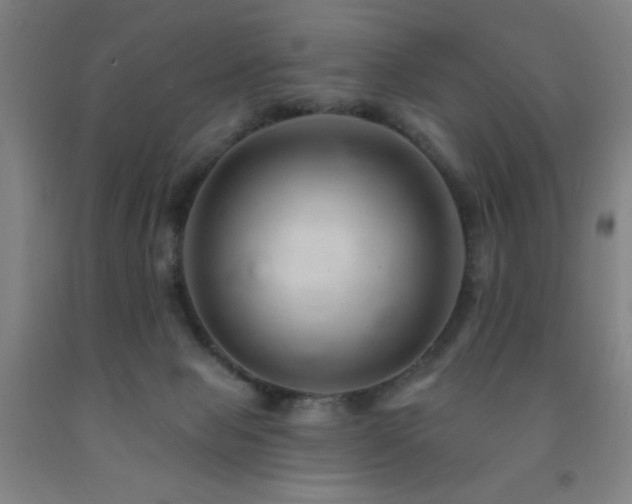 X0000093260077200709261740