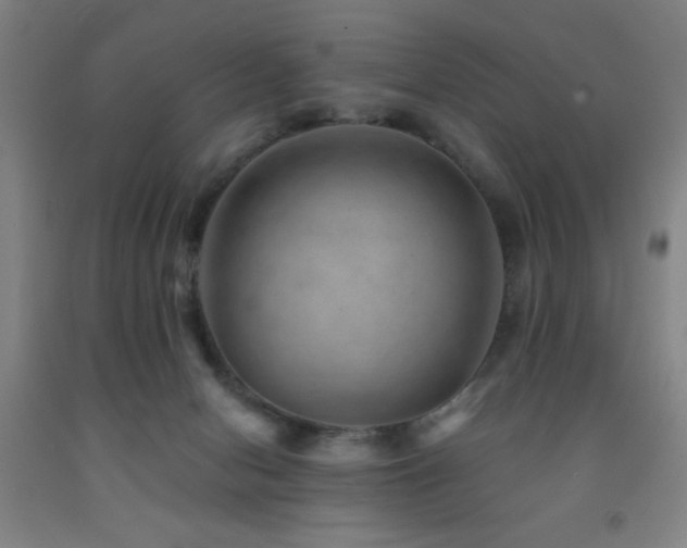 X0000093260078200709261740
