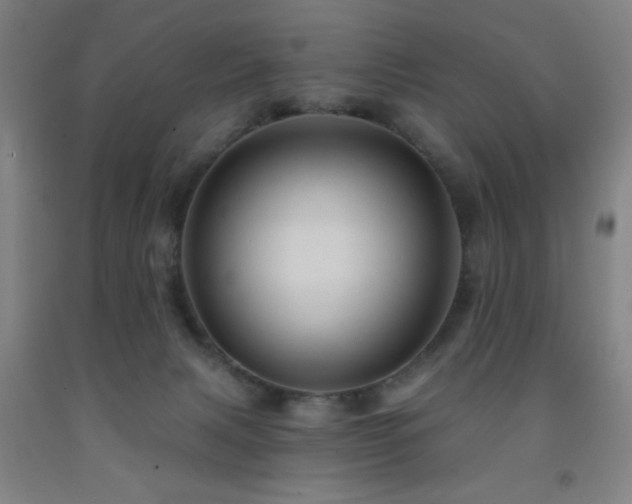 X0000093260079200709261740
