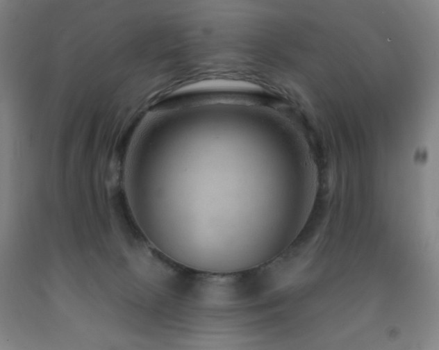 X0000093260081200709261740
