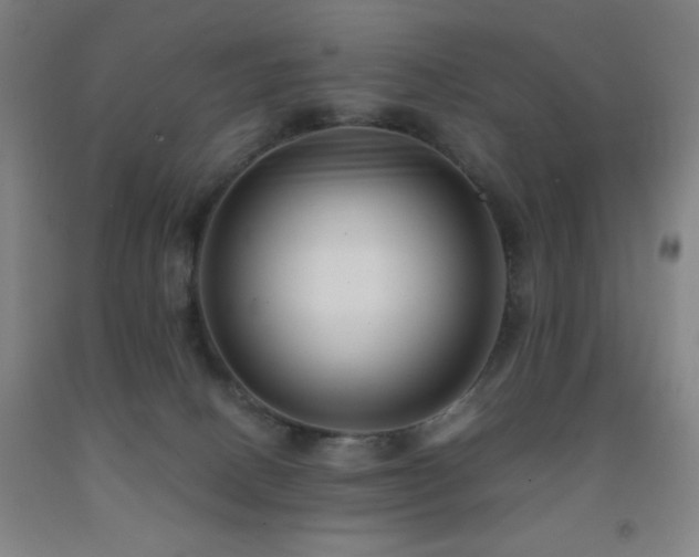 X0000093260082200709261740