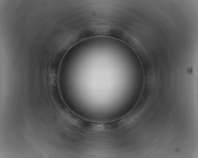 X0000093260083200709261740