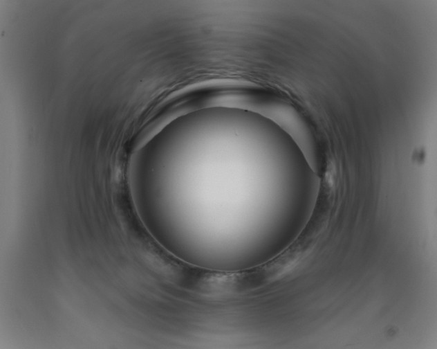 X0000093260084200709261740