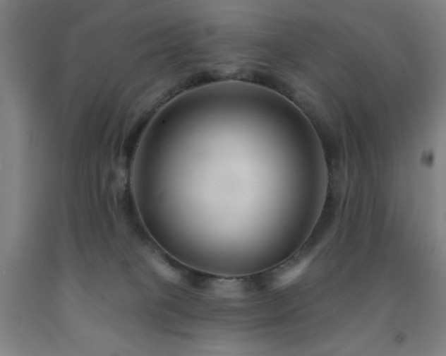 X0000093260085200709261740