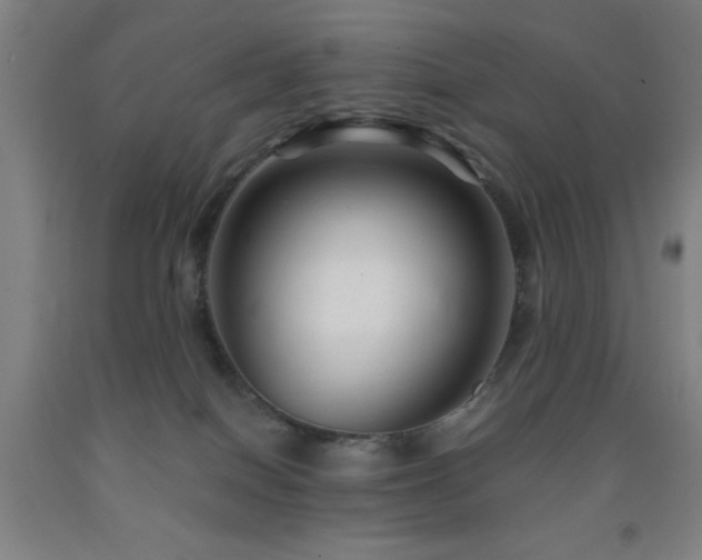 X0000093260086200709261740