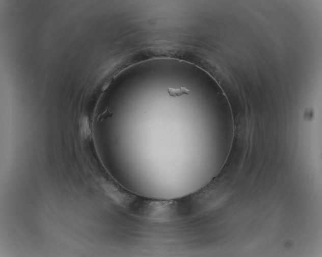 X0000093260089200709261740