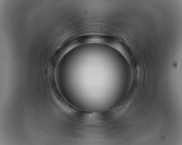 X0000093260092200709261740