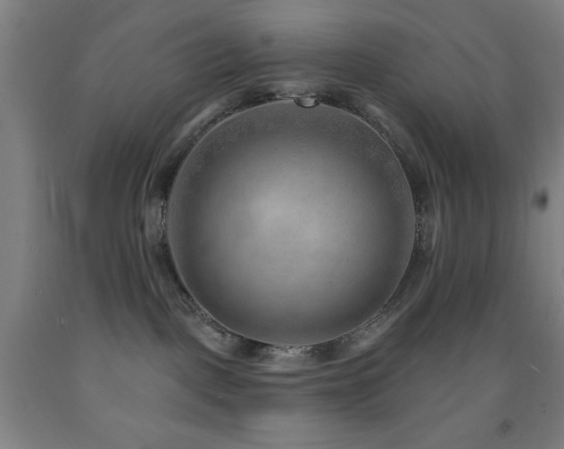 X0000093260093200709261740