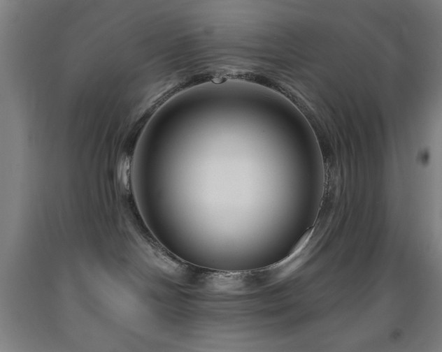 X0000093260094200709261740