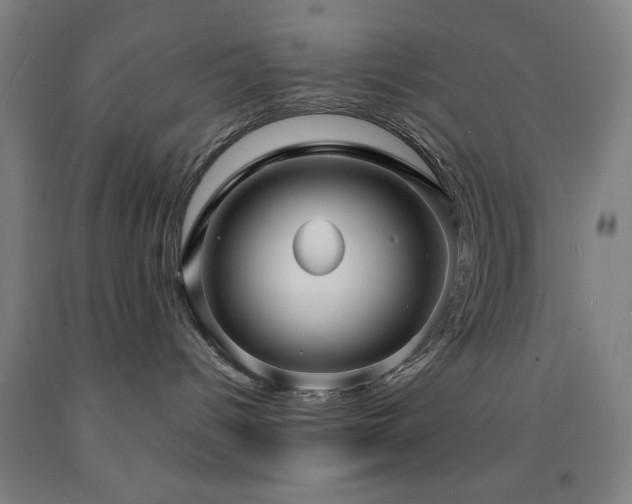 X0000093260096200709261740