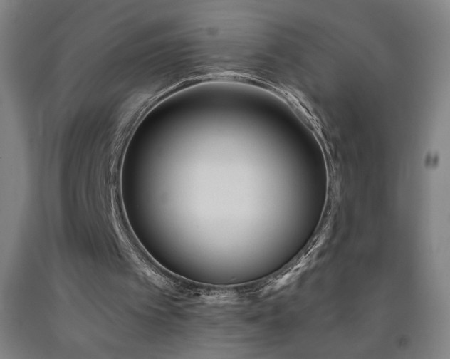 X0000093260097200709261739