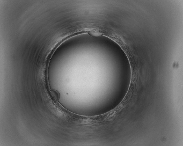 X0000093260098200709261739