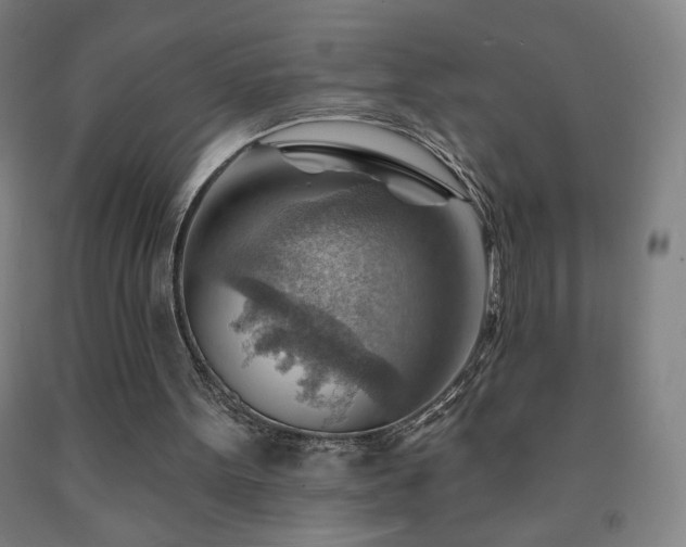 X0000093260099200709261739