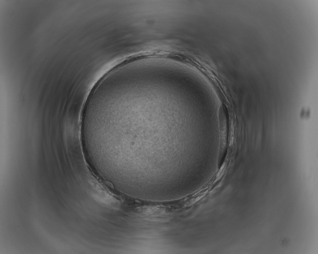 X0000093260100200709261739