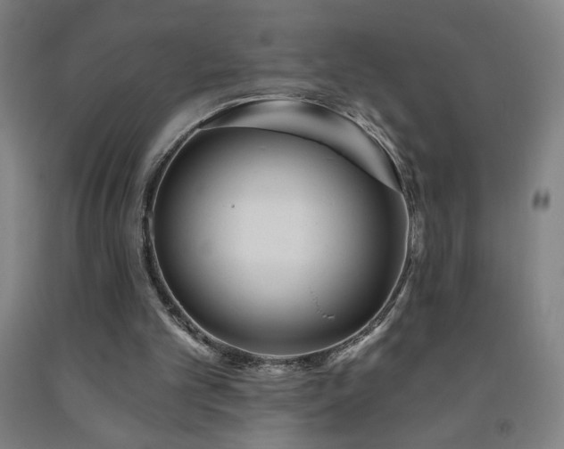 X0000093260101200709261739
