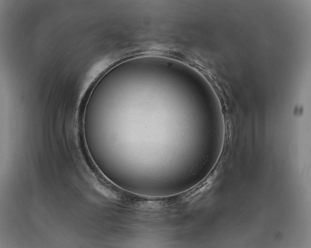 X0000093260102200709261739