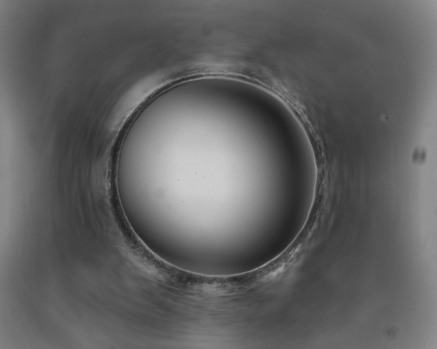 X0000093260103200709261739