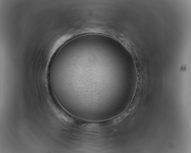 X0000093260104200709261739