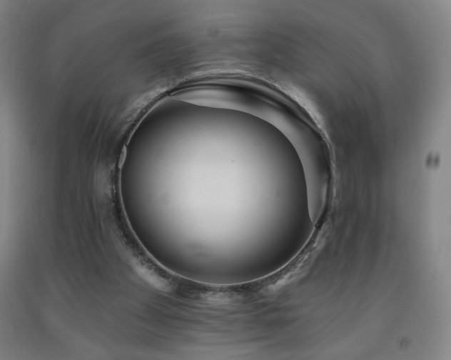 X0000093260105200709261739