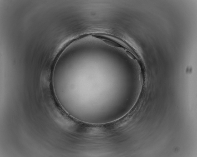 X0000093260107200709261739