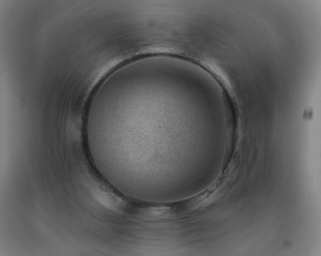 X0000093260108200709261739