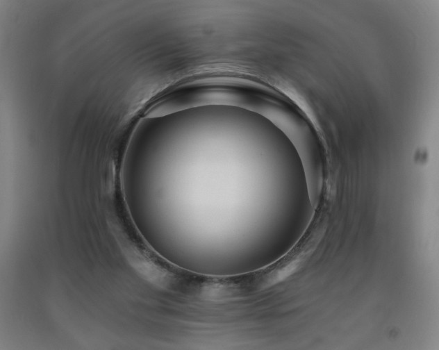 X0000093260109200709261739