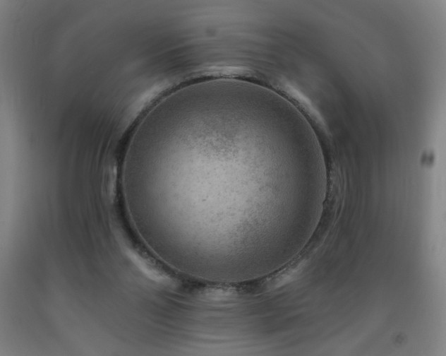 X0000093260110200709261739