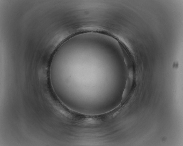 X0000093260111200709261739