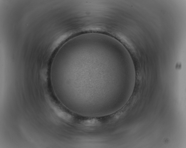 X0000093260112200709261739