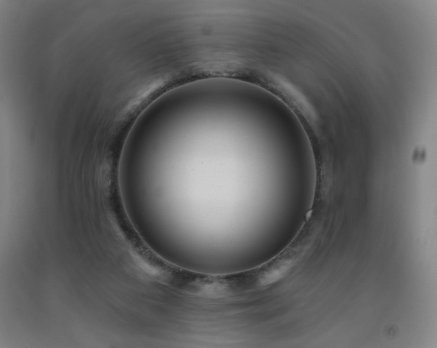 X0000093260113200709261739